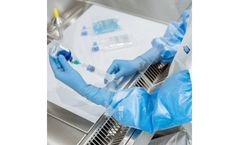 Helapet - Berner Oversleeves