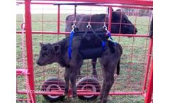 VH MFG - Calf Sling Catcher