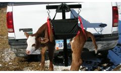 VH MFG - Model HC4000 - Hitch Mounted Calf Carrier