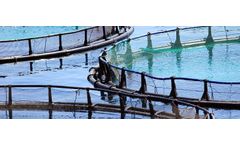 Water treatment solutions for aquaculture industry
