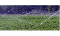 Effective Cleaning of Plumbing & Disinfection of Water for Alfalfa