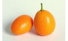 Effective Cleaning of Plumbing & Disinfection of Water for Citrus