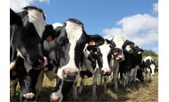 Effective Cleaning of Plumbing & Disinfection of Water for Dairy Farm