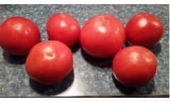 Effective Application for Tomatoes