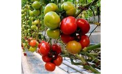 Puroxi Water Treatment for Plants, Crops Hydroponics