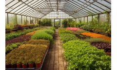Greenhouse Watering System