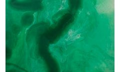 A Comprehensive Guide to Ultrasonic Algae Treatment in Lagoons