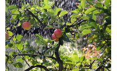 Maximize Your Garden’s Potential with a Garden Drip Irrigation System