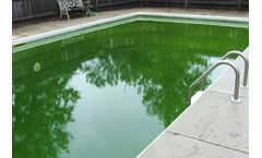 Effective Mustard Algae Treatment: Keep Your Pool Sparkling Clean