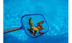 Pool Algae Treatment: Complete Guide for a Clear, Healthy Pool