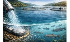 Nanobubble Tech for Fish Farming: A Smarter Way to Boost Aquaculture Success
