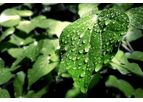 Puroxi (OB) - Agriculture Water System for Crops