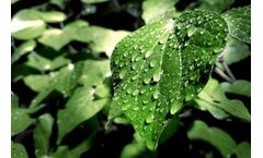 Puroxi (OB) - Agriculture Water System for Crops