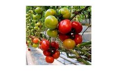 Puroxi - Water Treatment for Crops, Plants & Hydroponics