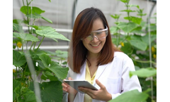 Argus - Version HUB - Online Tool