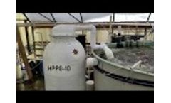 AST High Profile PolyGeyser: Quick Daily Maintenance! Hungry catfish feeding Frenzy! - Video