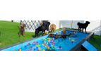 Dolphin - Dog Pool