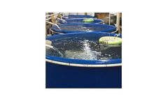 Open Top Tanks