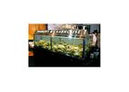 Custom Seafood Aquarium Systems