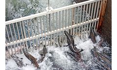 Water Heating Systems for Aquaculture / Water Cooling Systems for Aquaculture