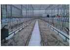 Ground Foil Used in Hydroponic Greenhouses