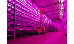 Vertical Farming