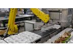 Automated Picking and Placing Equipment