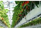 Debets Schalke - Cultivation Systems