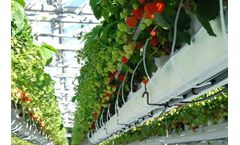 Debets Schalke - Cultivation Systems