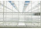 Debets Schalke - New Greenhouses