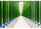 Debets Schalke - Greenhouses for Medical & Niche Products