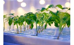 Cultivation Advice Services