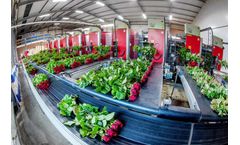 Debets Schalke - Horticultural Machines & Materials