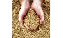 Grancork - Pure Blond Cork Granulate