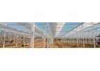 KG Greenhouses - Glass