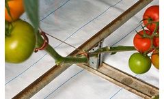 Luiten - Ground Cover