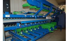 Mecaflor - Model Trimug - Lily Sorting Machine