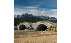 Wildlife Crossings Services
