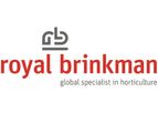 Advice & Services