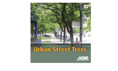 Urban Street Trees