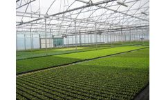 Truss - Model 12.80 - Poly Ventilation Greenhouse