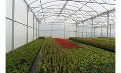 Truss - Model 9.60 - Semi Ventilation Greenhouse