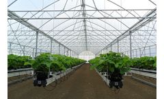 Truss - Model 9.60 - Poly Ventilation Greenhouse