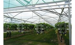 Tube - Model 9.60 - Fix Ventilation Greenhouse