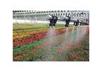 Irrigation Design Services
