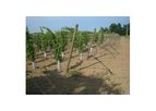 Scova - Drip Irrigation System