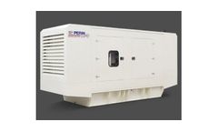 PERIN Desertstorm - Model 250 - 400 kVA - Generator