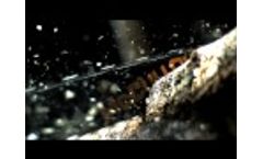 McCulloch: Introducing the Best Chainsaw Range Ever Video