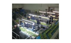 Brassica Handling Machine
