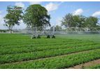 4 Wheel Chassis Booms for Agriculture and Horticulture